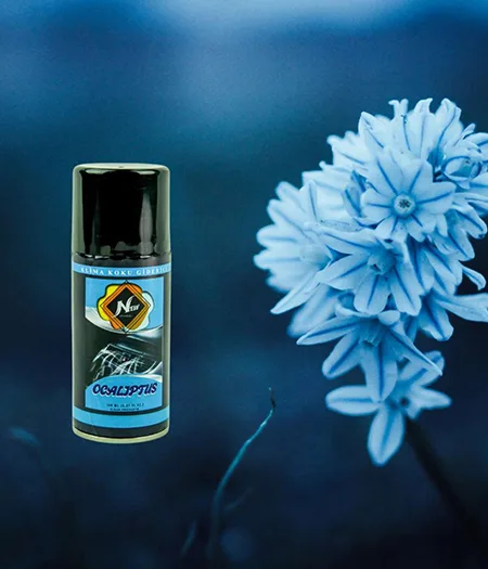 Oto Klima Bombası Okaliptüs OKB-101