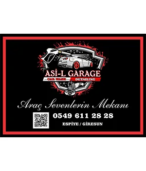 oto kağıt paspas new