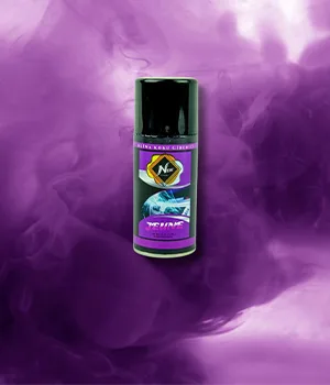 Oto Klima Bombası jeune