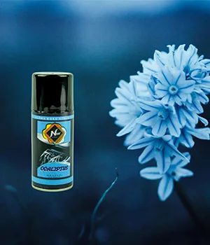 Oto Klima Bombası Okaliptus