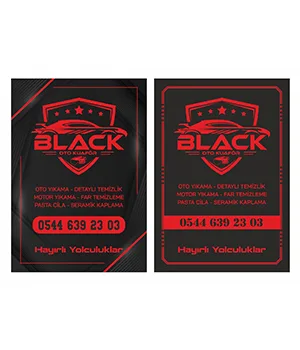 Black Series Oto Kağıt Paspası